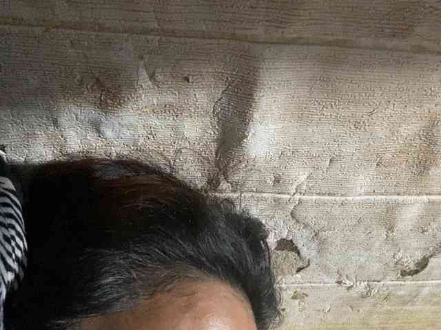 Rainie webcam