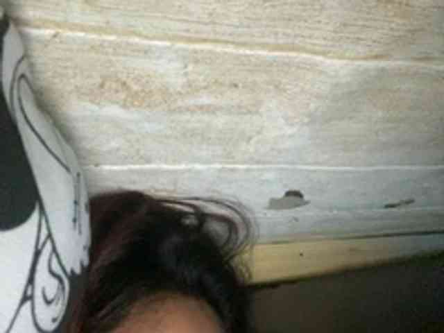 Rainie webcam