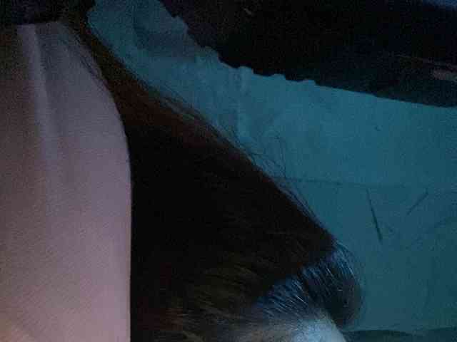 Rainie webcam