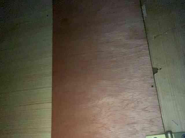 Rainie webcam