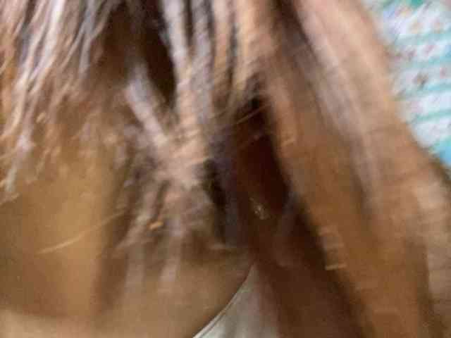 Rainie webcam