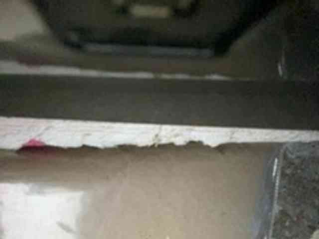 Rainie webcam