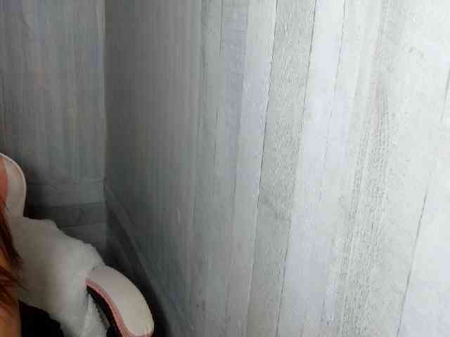 Rainie webcam