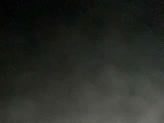 Rainie webcam