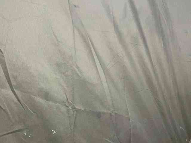 Rainie webcam