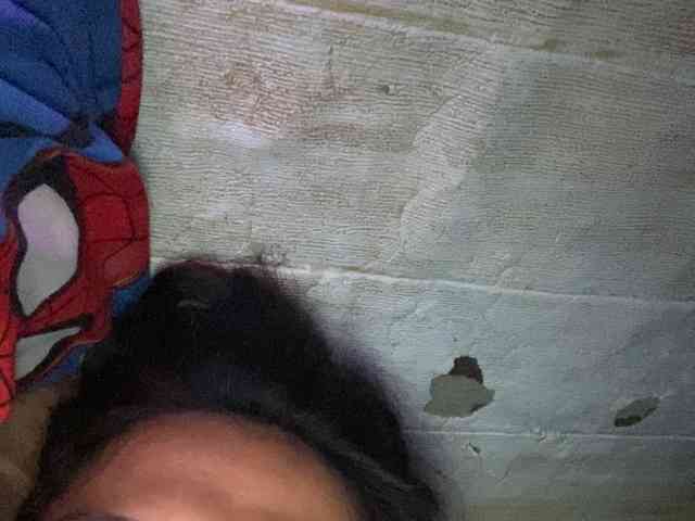 Rainie webcam
