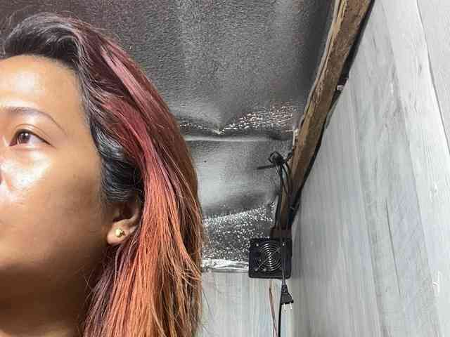 Rainie webcam