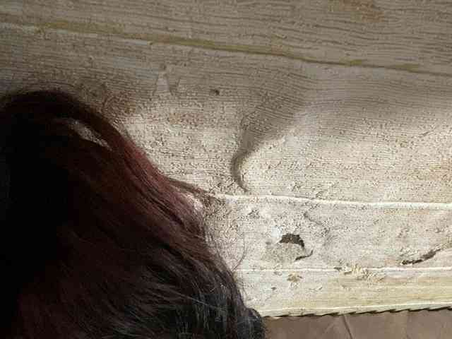 Rainie webcam