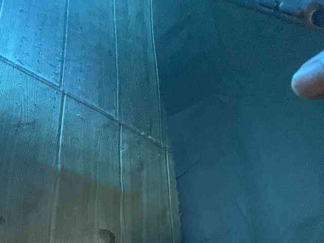 Rainie webcam