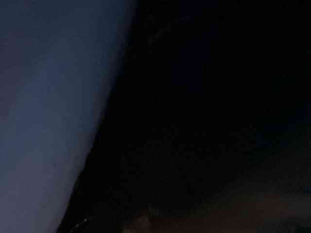 Rainie webcam