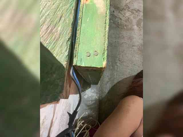 MoonFlowers webcam