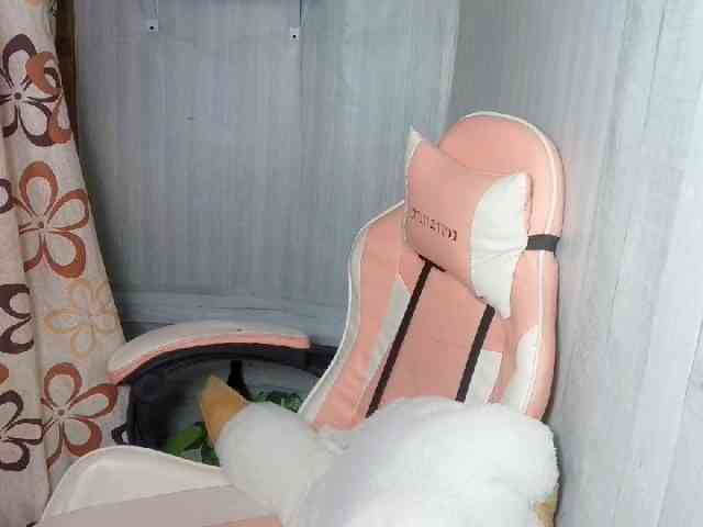 Rainie webcam