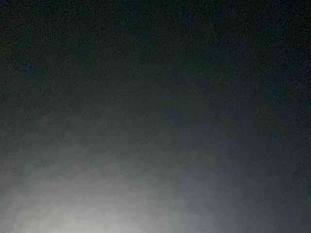 Rainie webcam