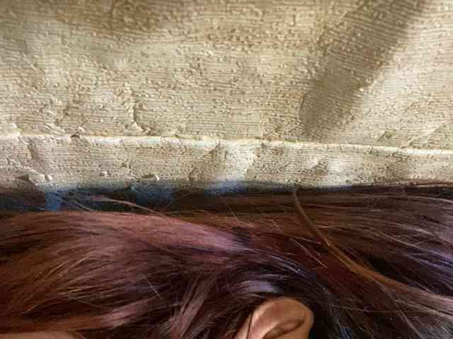 Rainie webcam
