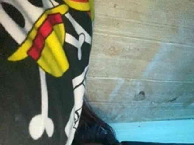 Rainie webcam