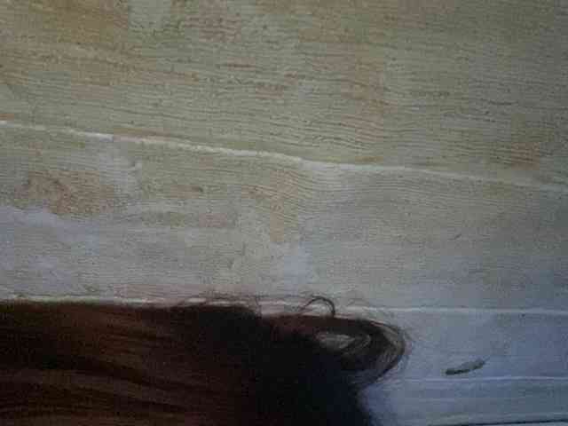 Rainie webcam
