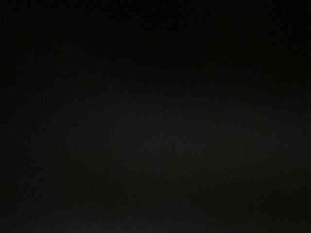 Rainie webcam