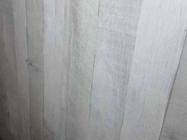 Rainie webcam