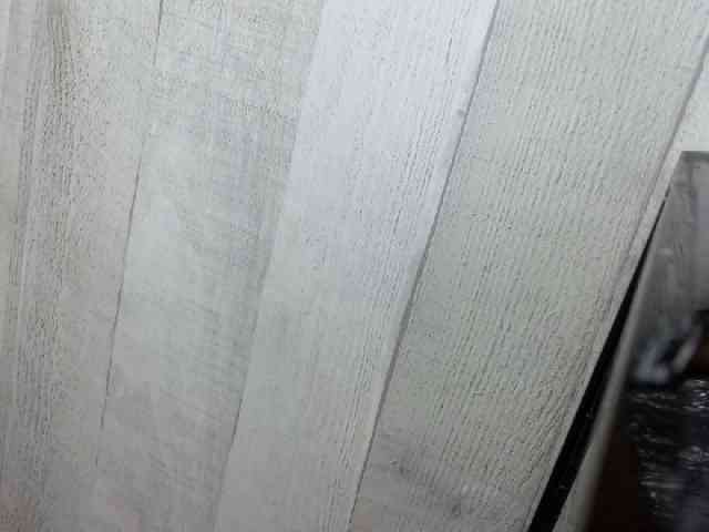 Rainie webcam