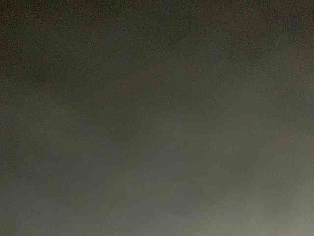 Rainie webcam