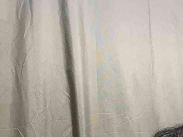 Rainie webcam