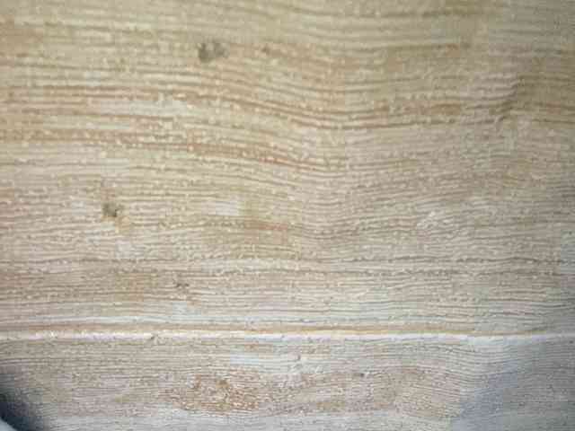 Rainie webcam