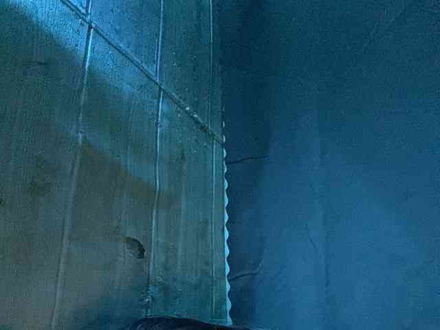 Rainie webcam