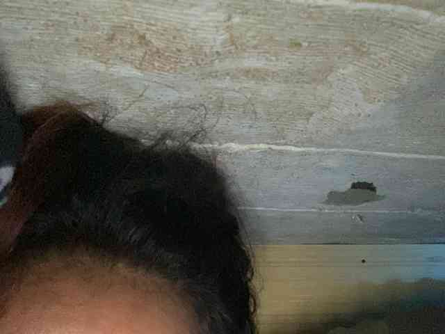 Rainie