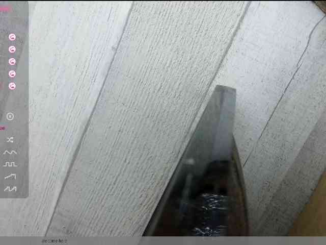 Rainie webcam