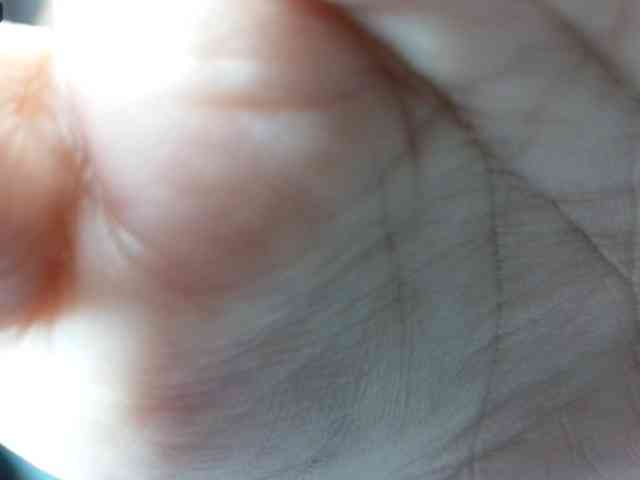Rainie webcam
