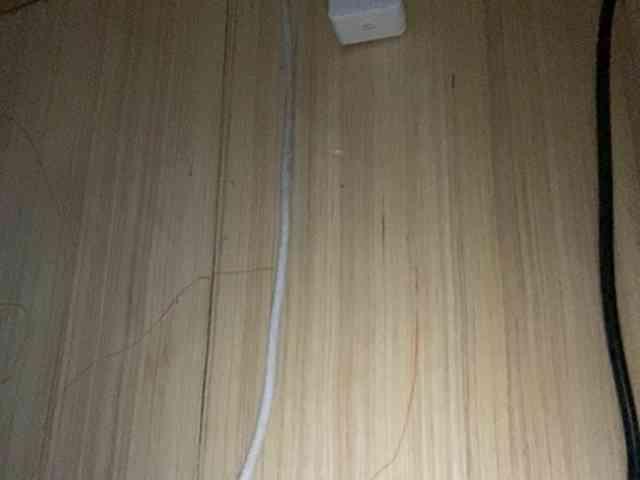 Rainie webcam