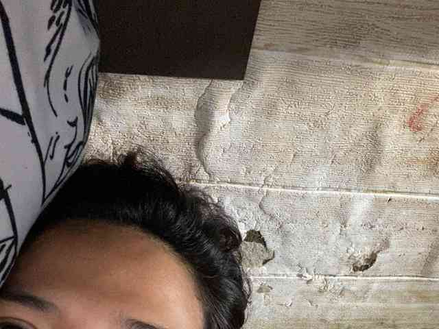 Rainie webcam