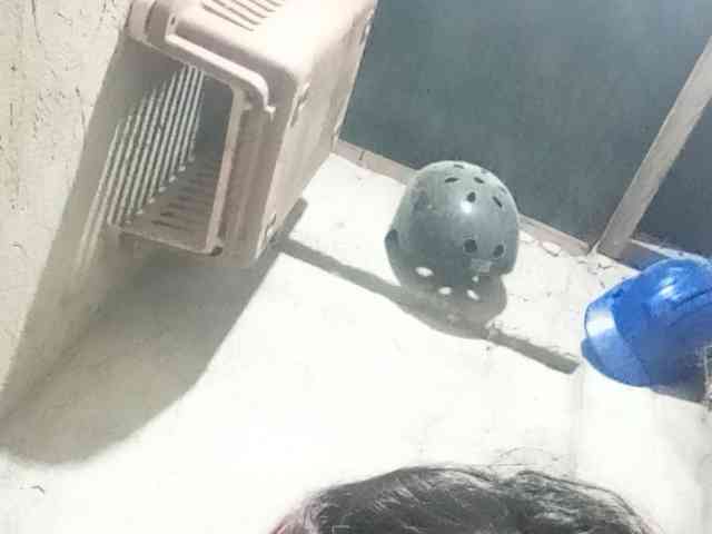 Rainie webcam