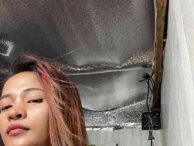 Rainie webcam
