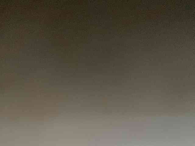 Rainie webcam