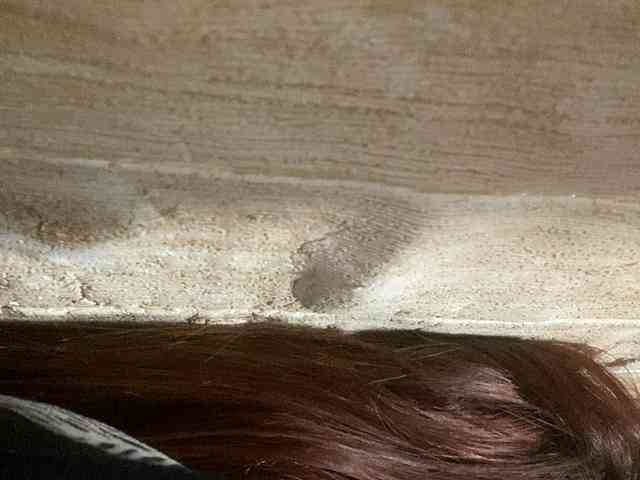 Rainie webcam