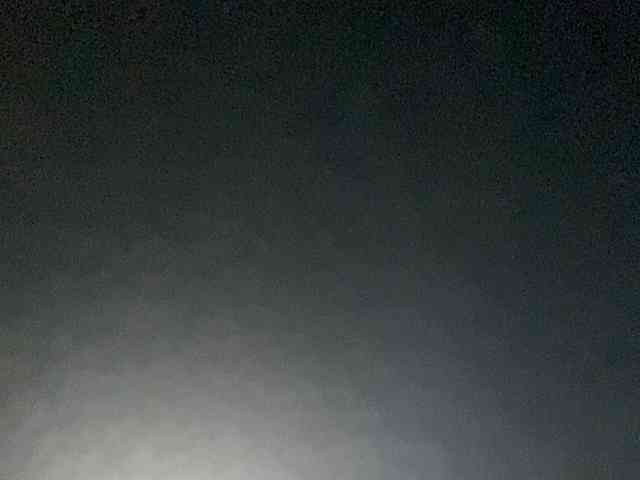 Rainie webcam