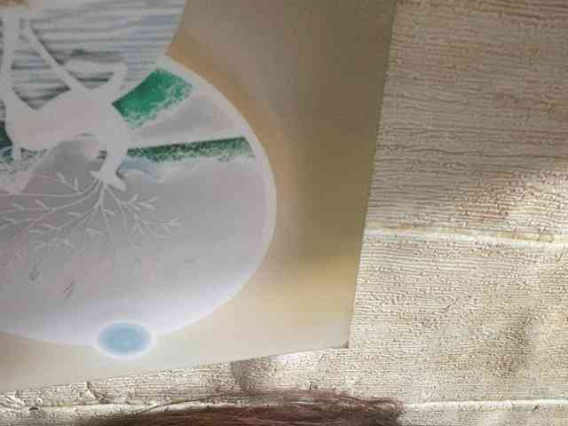 Rainie webcam