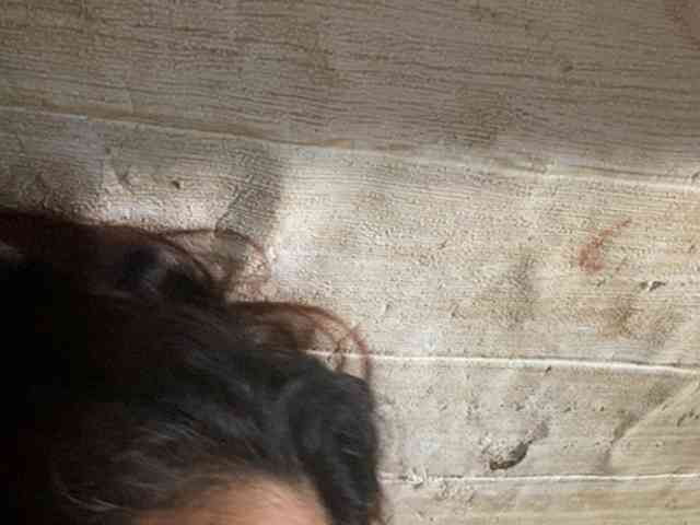 Rainie webcam