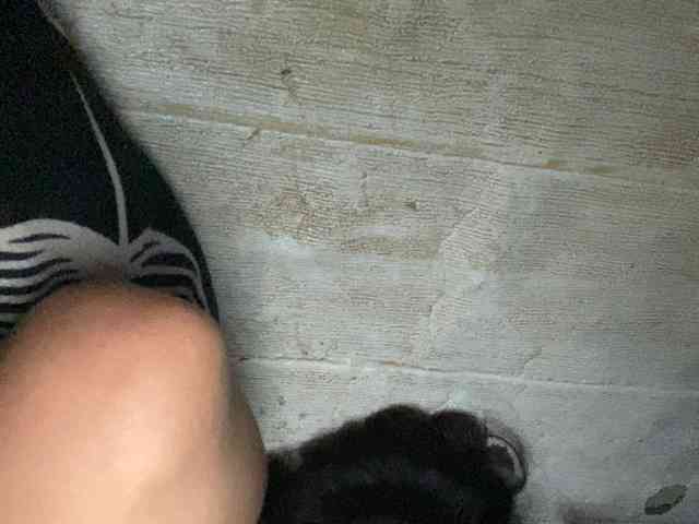 Rainie