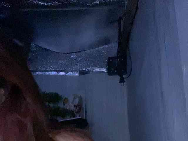 Rainie webcam