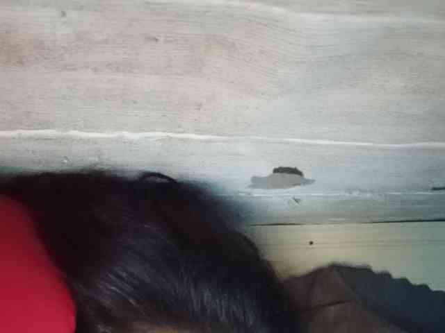 Rainie webcam