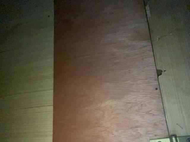Rainie webcam