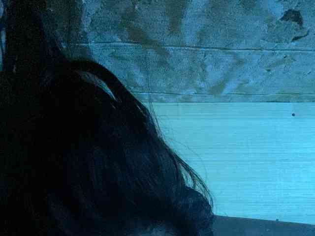 Rainie webcam