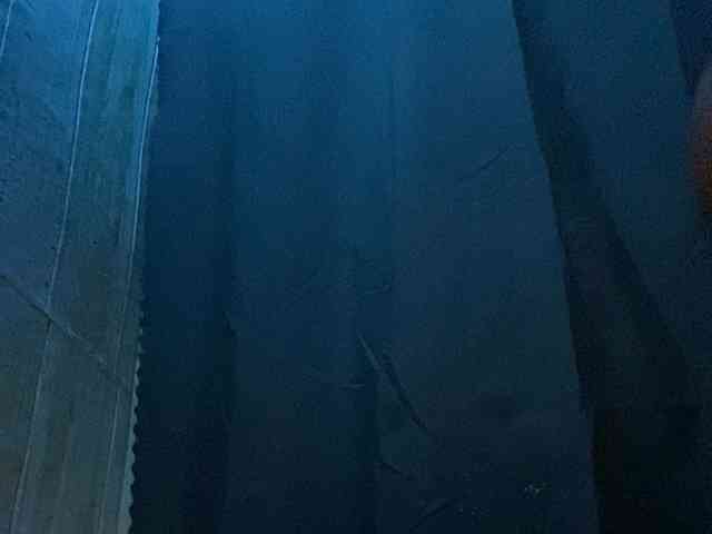 Rainie webcam