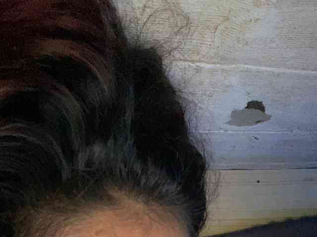 Rainie webcam