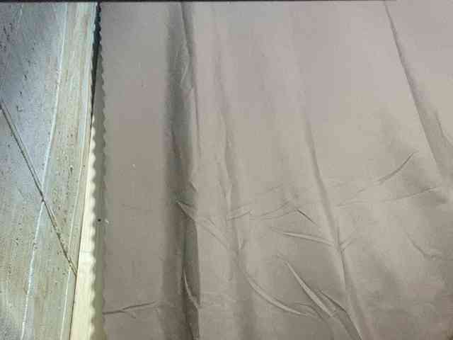 Rainie webcam