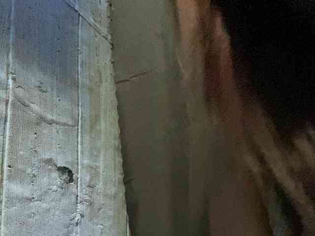 Rainie webcam