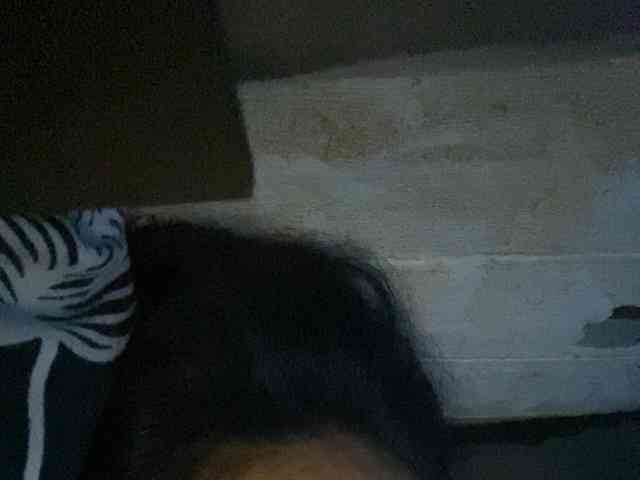 Rainie webcam