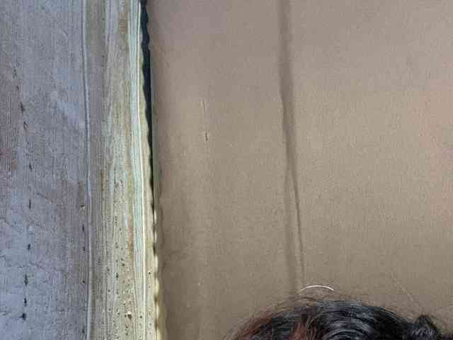 Rainie webcam